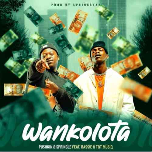 Pushkin-RSA-Springle-–-Wankolota-ft.-Bassie-TT-Muziq.jpg