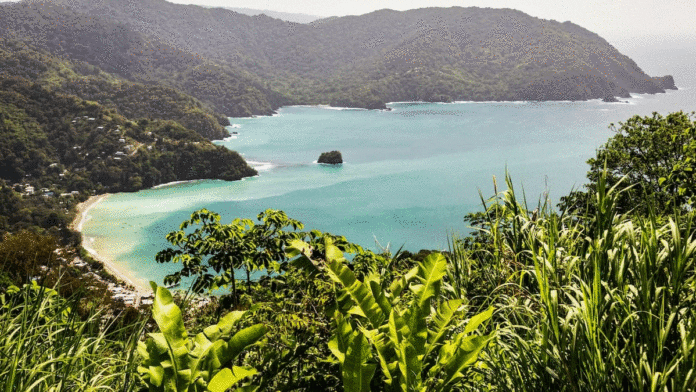A view of a beach on an island surrounded by a green forest, where traditions and celebrations come to life. A view of a beach on an island surrounded by a green forest, where traditions and celebrations come to life.