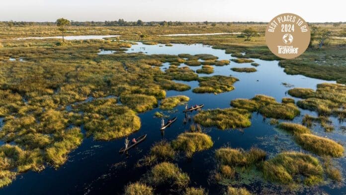 A group of canoes are floating in a marshy area in Africa. A group of canoes are floating in a marshy area in Africa.