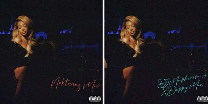 summerwalkerremixes.jpg Woman posing in dim lighting with "Nketse Ke" on the left and "DJ Maphorisa & Xduppy Mix" on the right, overlaid in colorful cursive text. This scene channels the soulful vibes of Summer Walker’s remixes, capturing the heart of a woman through rhythmic elegance.