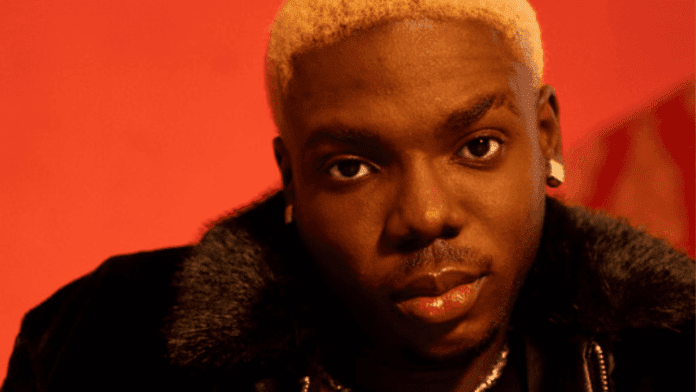 Wiziboy_20250503_125355_0000.png A person with short, bleached blonde hair and earrings looks directly at the camera, wearing a dark fur-collared jacket against a red background—a modern Monalisa in their own love story.
