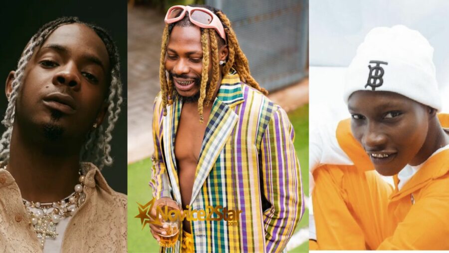 top 10 nigerian music 2023